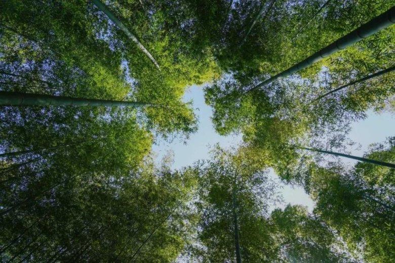 米村拌饭的米怎么买游戏画面